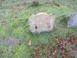 image of grave number 374302